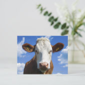 青空に対するバイエルン牛 ポストカード (スタンド正面)