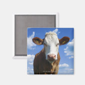 青空に対するバイエルン牛 マグネット (正面/裏面)