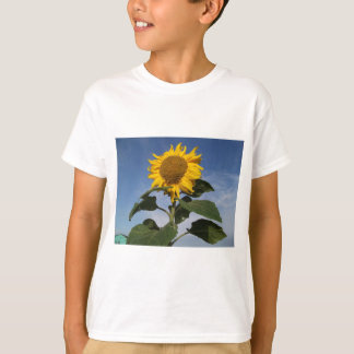 青空に対するヒマワリ Tシャツ