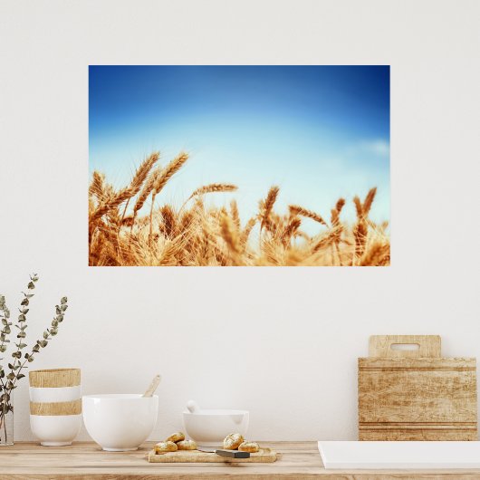 青空に対する小麦畑 ポスター (キッチン)