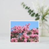 青空に映えるピンクの花 植物学ポストカード ポストカード (スタンド正面)