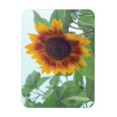 青空に淡い色のひまわり –  マグネット (縦)