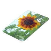 青空に淡い色のひまわり –  マグネット (左側)