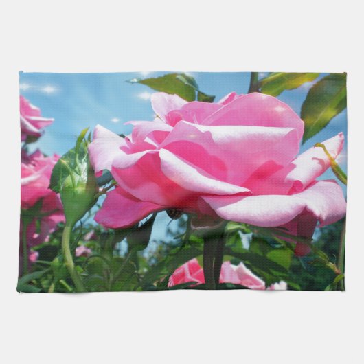 青空に華やかなピンクのバラ。花の写真 キッチンタオル (横)