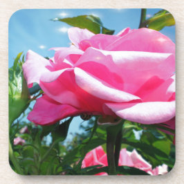 青空に華やかなピンクのバラ。花の写真 コースター