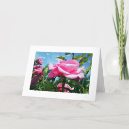 青空に華やかなピンクのバラ。花の写真 シーズンカード