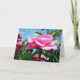 青空に華やかなピンクのバラ。花の写真 シーズンカード