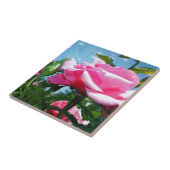 青空に華やかなピンクのバラ。花の写真 タイル (側面)