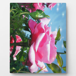 青空に華やかなピンクのバラ。花の写真 フォトプラーク