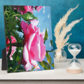 青空に華やかなピンクのバラ。花の写真 フォトプラーク (側面)