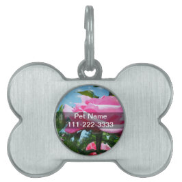 青空に華やかなピンクのバラ。花の写真 ペットネームタグ