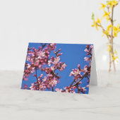 青空に触れる桜の花 カード (黄色い花)