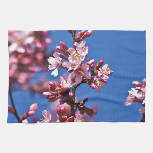 青空に触れる桜の花 キッチンタオル (横)