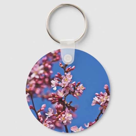 青空に触れる桜の花 キーホルダー (正面)