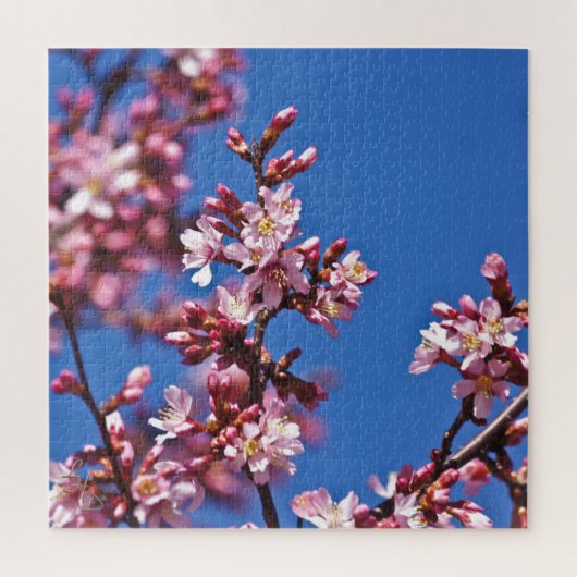 青空に触れる桜の花 ジグソーパズル (縦)