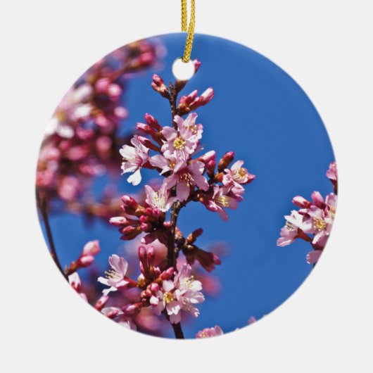 青空に触れる桜の花 セラミックオーナメント (正面)