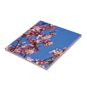 青空に触れる桜の花 タイル (側面)