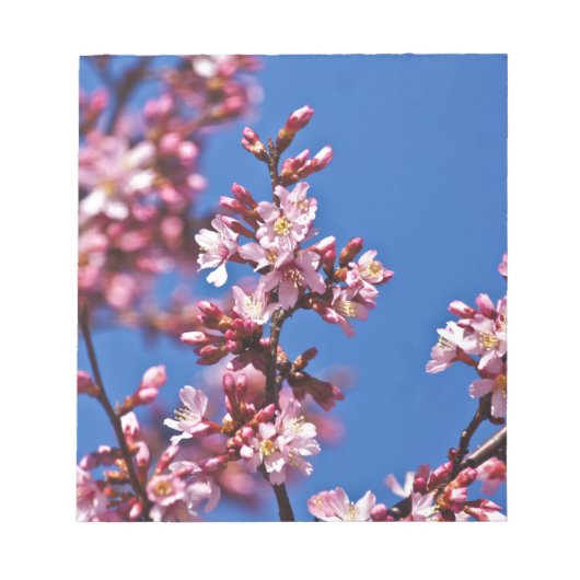青空に触れる桜の花 ノートパッド (正面)