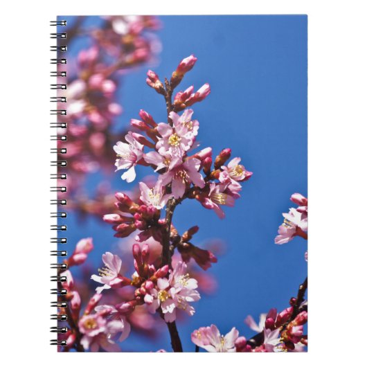 青空に触れる桜の花 ノートブック (正面)