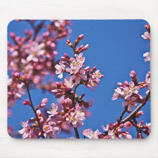 青空に触れる桜の花 マウスパッド (正面)