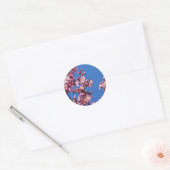 青空に触れる桜の花 ラウンドシール (封筒)