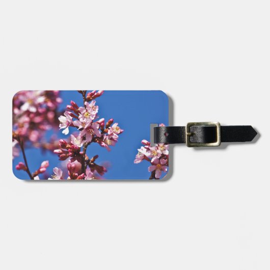 青空に触れる桜の花 ラゲッジタグ (正面横)
