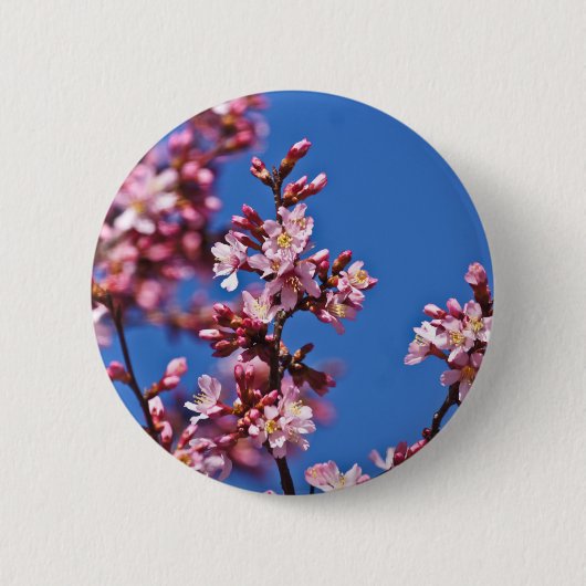 青空に触れる桜の花 缶バッジ (正面)