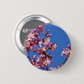 青空に触れる桜の花 缶バッジ (正面&裏面)