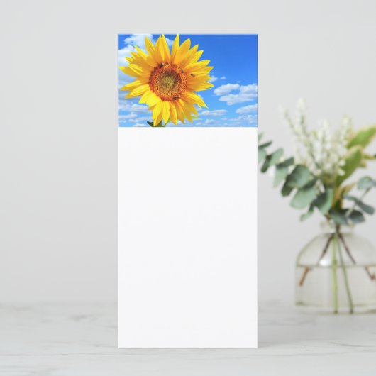 青空のひまわりと蜂 メニュー 夏 (スタンド正面)