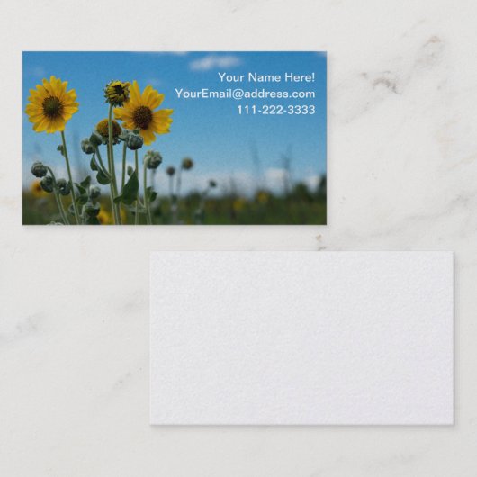 青空のひまわり 名刺 (正面/裏面)