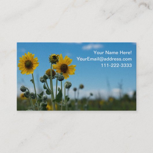 青空のひまわり 名刺 (正面)