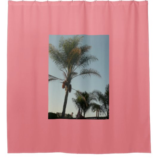 青空のエキゾチックなヤシの木 シャワーカーテン (正面)