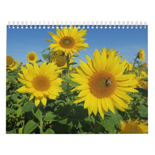 青空のヒマワリカラフル夏の花 カレンダー (カバー)