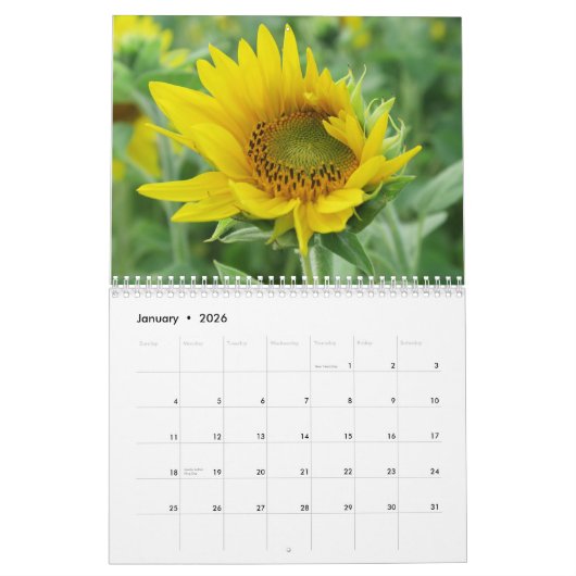 青空のヒマワリカラフル夏の花 カレンダー (1月 2026)