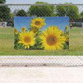 青空のヒマワリカラフル夏の花 横断幕 (インサイチュ)