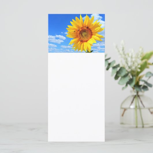 青空の下のヒマワリと蜂 - 夏のメニュー メニュー (スタンド正面)