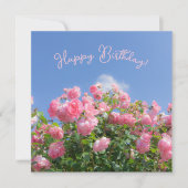 青空の下のピンクのバラの木 - オーダーメイド (正面)