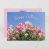 青空の下のピンクのバラの木 カスタム ポストカード (正面/裏面)