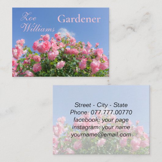青空の下のピンクのバラの茂みカスタム、 名刺 (正面/裏面)