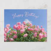 青空の下のピンクのバラの茂み オーダーメイド ポストカード (正面)