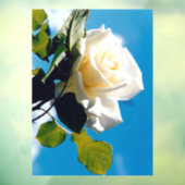 青空の下の白いバラ ウィンドウサイン (シート3)