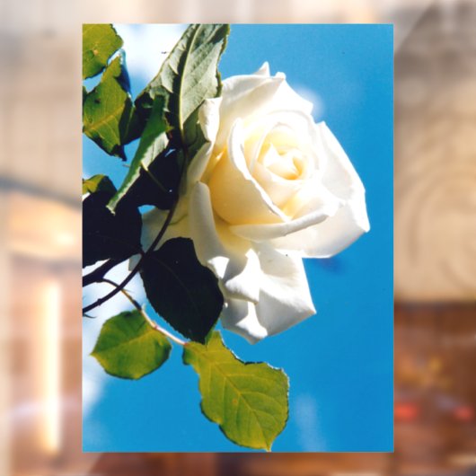 青空の下の白いバラ ウィンドウサイン (シート2)