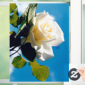 青空の下の白いバラ ウィンドウサイン (ホーム)