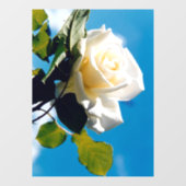 青空の下の白いバラ ウィンドウサイン (シート)