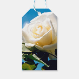 青空の下の白いバラ ギフトタグ