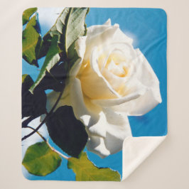 青空の下の白いバラ シェルパブランケット
