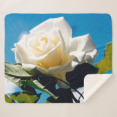 青空の下の白いバラ シェルパブランケット (正面(横))