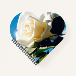 青空の下の白いバラ ノートブック