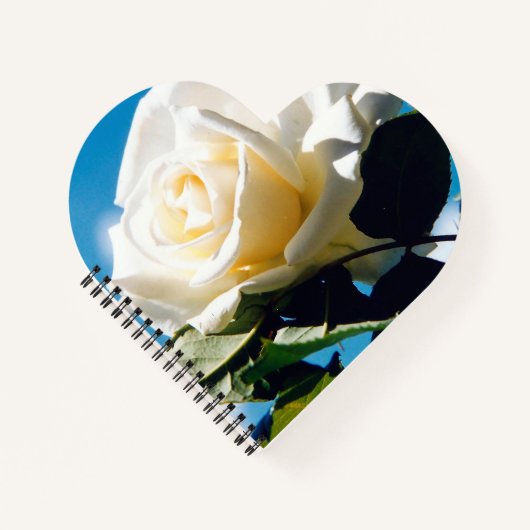 青空の下の白いバラ ノートブック (正面)