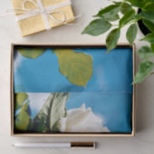 青空の下の白いバラ 薄葉紙 (ギフト)